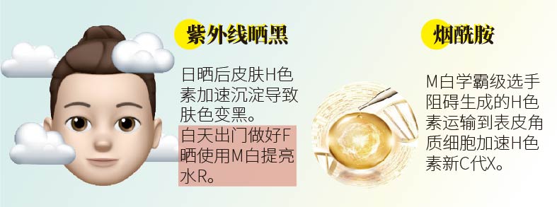 M白成分一箩筐！大图告诉你怎么选